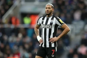 Joelinton ngồi trên khán đài đã phát hiện kẻ trộm qua điện thoại