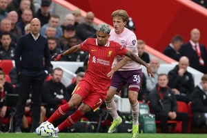 Arne Slot dõi theo trận Liverpool - Brentford ở lượt đi