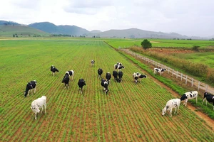 Vinamilk lọt vào Top 5 cổ phiếu đáng quan tâm của Đông Nam Á