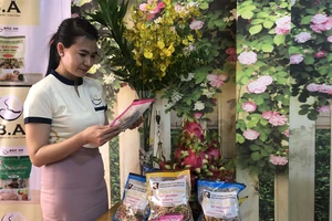 Đa dạng sản phẩm cung ứng tết