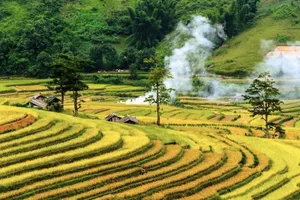 Phụ phẩm nông sản đang bị lãng phí