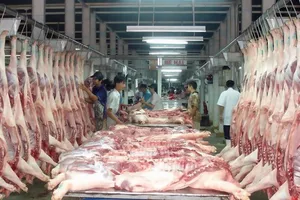 Nguyên nhân quan trọng khiến cho CPI tháng 11-2019 tăng cao là do nguồn cung thịt lợn giảm, làm giá thịt lợn và các thực phẩm chế biến từ thịt tăng cao