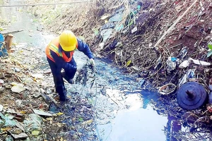 Vi phạm Luật Bảo vệ môi trường có thể phải lao động công ích 