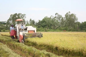 Chính sách miễn thuế sử dụng đất nông nghiệp là tiếp tục thể chế hóa quan điểm, chủ trương của Đảng và Nhà nước về nông nghiệp, nông dân, nông thôn