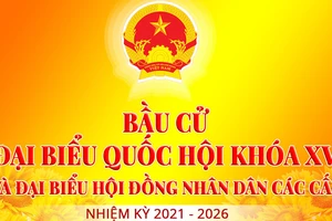 Theo kế hoạch, việc giám sát đợt 1 đối với công tác chuẩn bị bầu cử được dự kiến từ ngày 10-3 đến ngày 18-3-2021