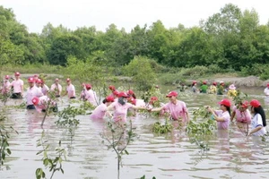 Trồng rừng phòng hộ Cần Giờ, TPHCM