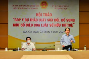 Chủ nhiệm Ủy ban Pháp luật Hoàng Thanh Tùng chủ trì hội thảo ​