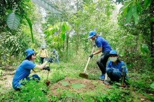 Nguồn lực đất đai nói chung, đất rừng nói riêng hiện nay chưa thực sự phát huy hiệu quả. Ảnh minh hoạ