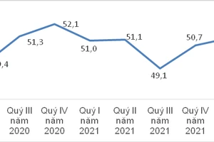 Lực lượng lao động theo quý từ 2020 – 2022