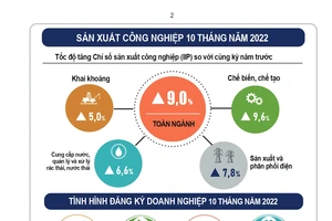 Tình hình sản xuất công nghiệp 10 tháng năm 2022. Nguồn: Tổng cục Thống kê