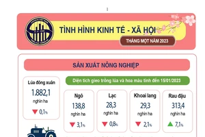 Nguồn: Tổng cục Thống kê 