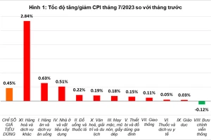 Tốc độ tăng giảm CPI tháng 7-2023 so với tháng trước. Nguồn: Tổng cục Thống kê 