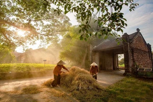 Là di sản có cư dân sinh sống, làng cổ Đường Lâm là khu vực có thể được xây dựng, cải tạo nhà ở riêng lẻ 