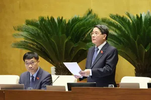 Phó Chủ tịch Quốc hội Nguyễn Đức Hải điều hành thảo luận. Ảnh: QUANG PHÚC 