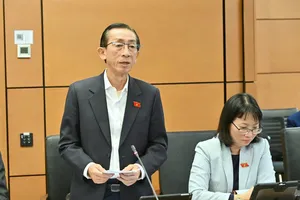 ĐB Trần Hoàng Ngân (TPHCM) thảo luận tại tổ, sáng 5-11. Ảnh: VIẾT CHUNG