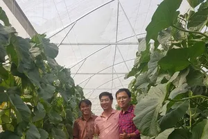 Từ sự cần cù, mạnh dạn áp dụng tiến bộ khoa học kỹ thuật, anh Nguyễn Hồng Quyết (giữa) đã trở thành tỷ phú dưa lưới