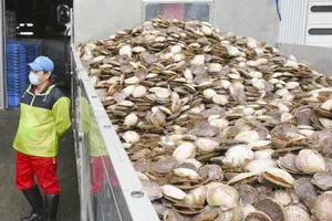 Trung Quốc ngừng nhập khẩu hải sản của Nhật Bản