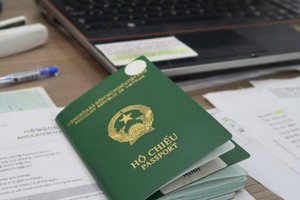 重新加入越南国籍需知。（图自网络）