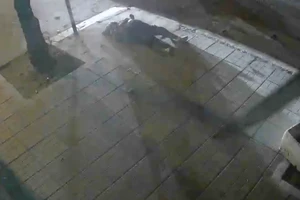 Truy xét nhóm "quái xế" tông trúng người đi đường ở Nha Trang