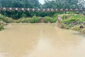 Đoạn đường sắt dài 100m bị sạt lở, dừng toàn bộ tàu qua Nam Trung bộ