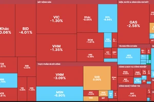 Sắc xanh lơ tràn ngập thị trường vì có đến hơn 300 mã cổ phiếu giảm sàn 
