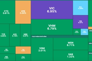 Nhóm cổ phiếu Vingroup tăng mạnh mẽ trong khi cặp đôi NVL và PDR vẫn nằm sàn