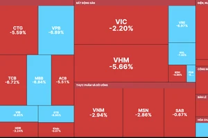 Nhóm cổ phiếu lớn bị “xả hàng” trong phiên giao dịch ngày 6-12 gây áp lực lên thị trường 