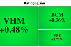 Nhiều cổ phiếu bất động sản quay đầu giảm điểm trong phiên giao dịch ngày 7-3