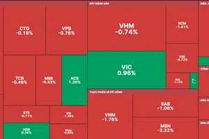 Nhóm cổ phiếu Blue-chips chìm trong sắc đỏ