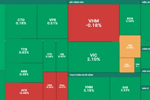 Sắc xanh áp đảo thị trường 