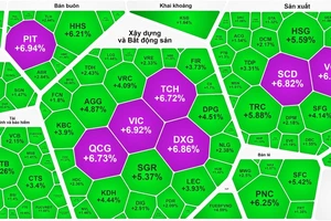 Nhóm cổ phiếu bất động sản hút được dòng tiền nên nhiều cổ phiếu tăng mạnh 