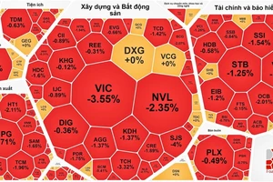 Mặc dù VN-Index chỉ giảm hơn 2 điểm nhưng nhiều cổ phiếu lớn giảm mạnh 