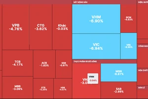 Bộ 3 cổ phiếu Vingroup giảm kịch sàn 