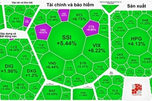 Nhóm cổ phiếu chứng khoán tăng mạnh trong phiên phục hồi đầu tháng 11