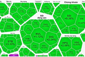 Phiên giao dịch đầu tuần 6-11 ngập tràn sắc xanh 