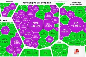 Bảng điểm tràn ngập sắc tím trong phiên giao dịch bùng nổ theo đà ngày 8-11