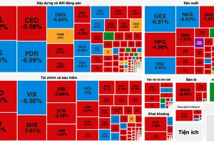 Nhiều cổ phiếu chứng khoán và bất động sản giảm kịch sàn 