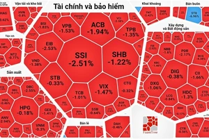 Bảng điện chìm trong sắc đỏ dù VN-Index chỉ giảm chưa đến 1 điểm 