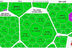 Thị trường chứng khoán ngập tràn sắc xanh 