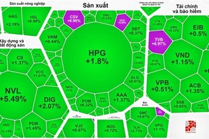 Thị trường mở phiên tháng 2-2024 ngập tràn sắc xanh và tím 