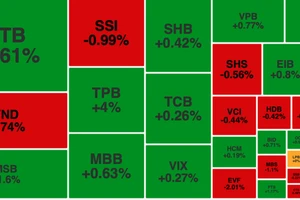 Dù nhóm cổ phiếu ngân hàng tăng tốt nhưng VN-Index vẫn đóng cửa dưới tham chiếu 