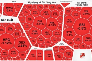 Bảng điện tràn ngập sắc đỏ trong phiên giao dịch 6-3