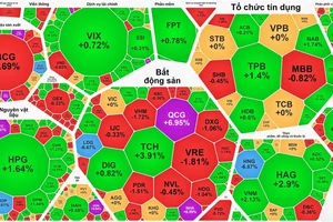 Sau thông tin hủy niêm yết, nhà đầu tư tháo chạy khỏi HBC và HNG