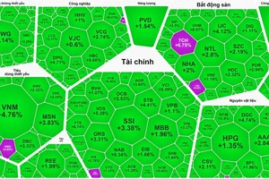 Chứng khoán phục hồi, VNG bị phạt gần 160 triệu đồng