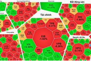 Cổ phiếu “hoa tiêu” quay đầu, chứng khoán đảo chiều tăng trở lại