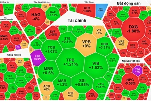 “Cổ phiếu vua” đỡ chỉ số, chứng khoán “xanh vỏ đỏ lòng”