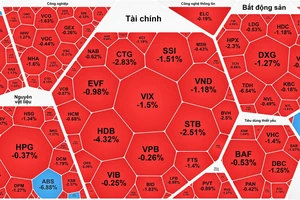 Chứng khoán chốt phiên cuối năm 2024 trong ảm đạm, VN-Index thủng 1.270 điểm