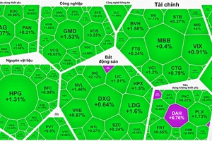 Sắc xanh lan tỏa tất cả các nhóm ngành trong phiên giao dịch đầu năm 2025 