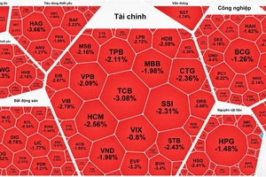 "Cổ phiếu vua" giảm mạnh, chứng khoán lao dốc