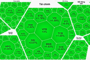 Chứng khoán bất ngờ tăng rực rỡ